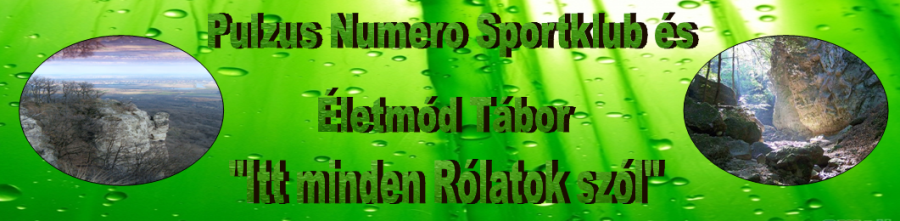 letmd tbor - Pulzus Numero Sportklub s letmdtbor